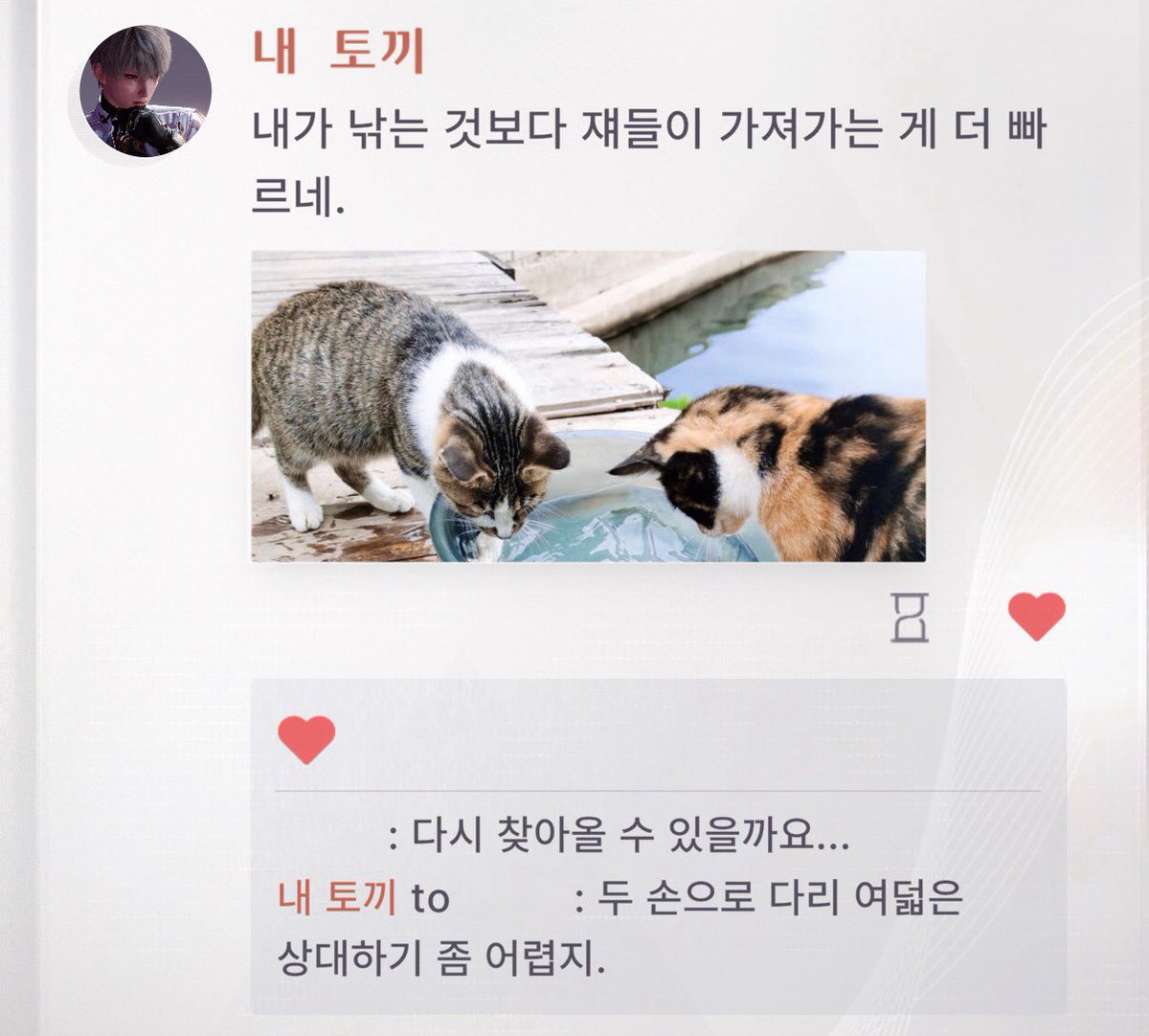 mong9t's tweet photo. 성훈이와 고양이 https://t.co/hmR2Il6T0t