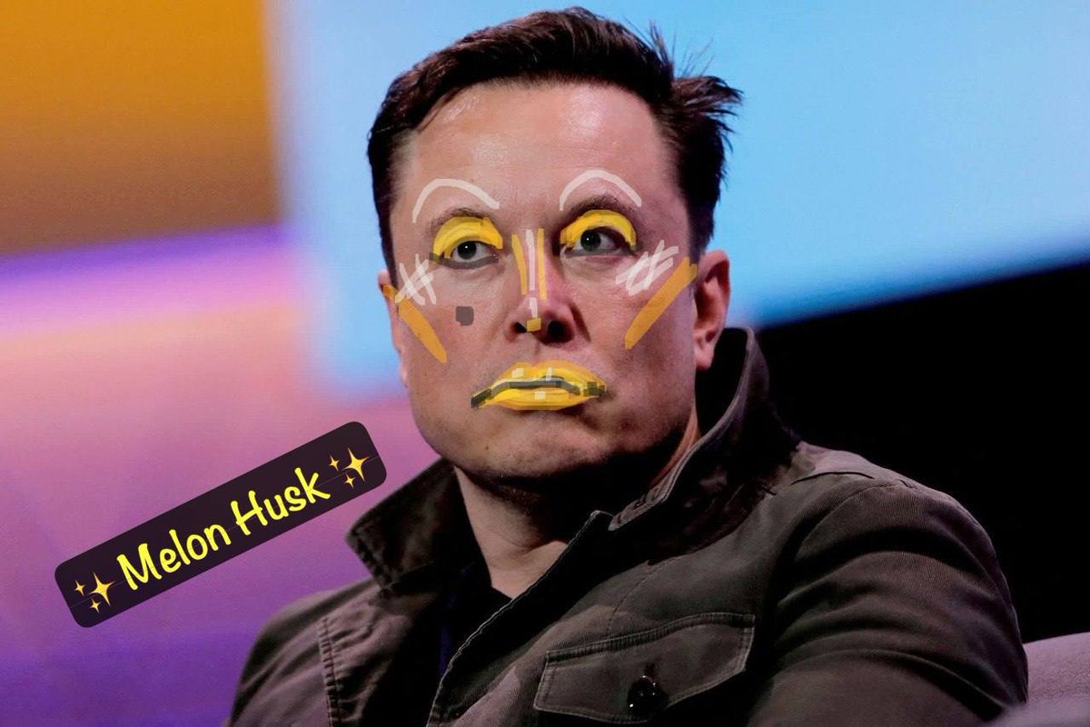 r2p289's tweet photo. @elonmusk 's drag persona: #MelonHusk https://t.co/JuQowIjltc