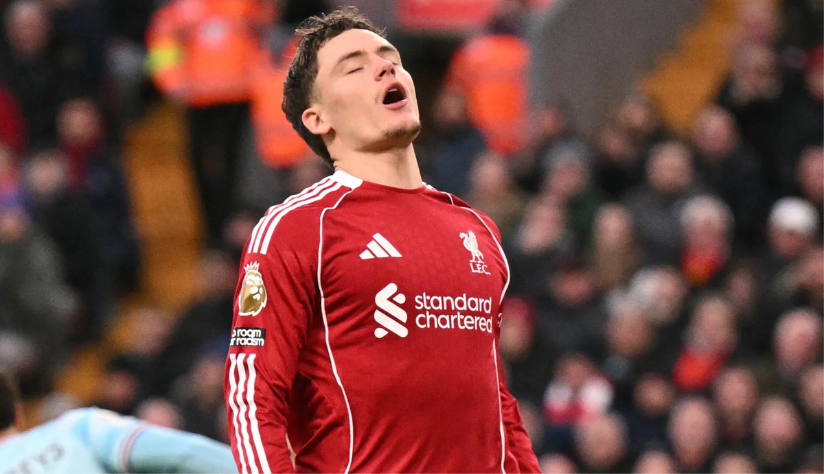 FPL Meerkat tweet media