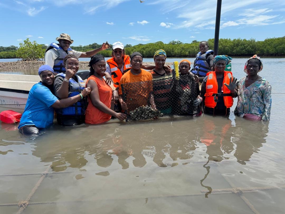 aquaculturesn's tweet photo. 🦪 𝗣𝗿𝗼𝗷𝗲𝘁 𝗡𝗮𝘁𝘂𝗿'𝗘𝗟𝗟𝗘𝗦 : l'ANA et SOCODEVI en mission de suivi des infrastructures aquacoles en Casamance https://t.co/j3vZj1GjPL