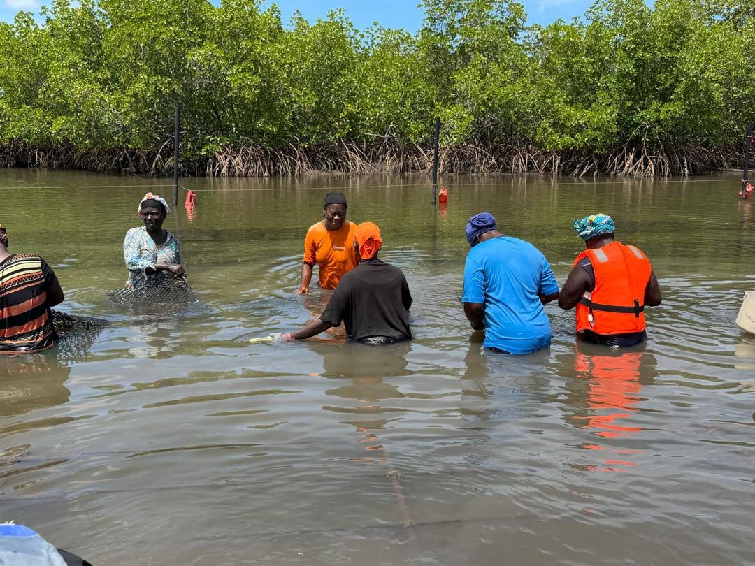 aquaculturesn's tweet photo. 🦪 𝗣𝗿𝗼𝗷𝗲𝘁 𝗡𝗮𝘁𝘂𝗿'𝗘𝗟𝗟𝗘𝗦 : l'ANA et SOCODEVI en mission de suivi des infrastructures aquacoles en Casamance https://t.co/j3vZj1GjPL