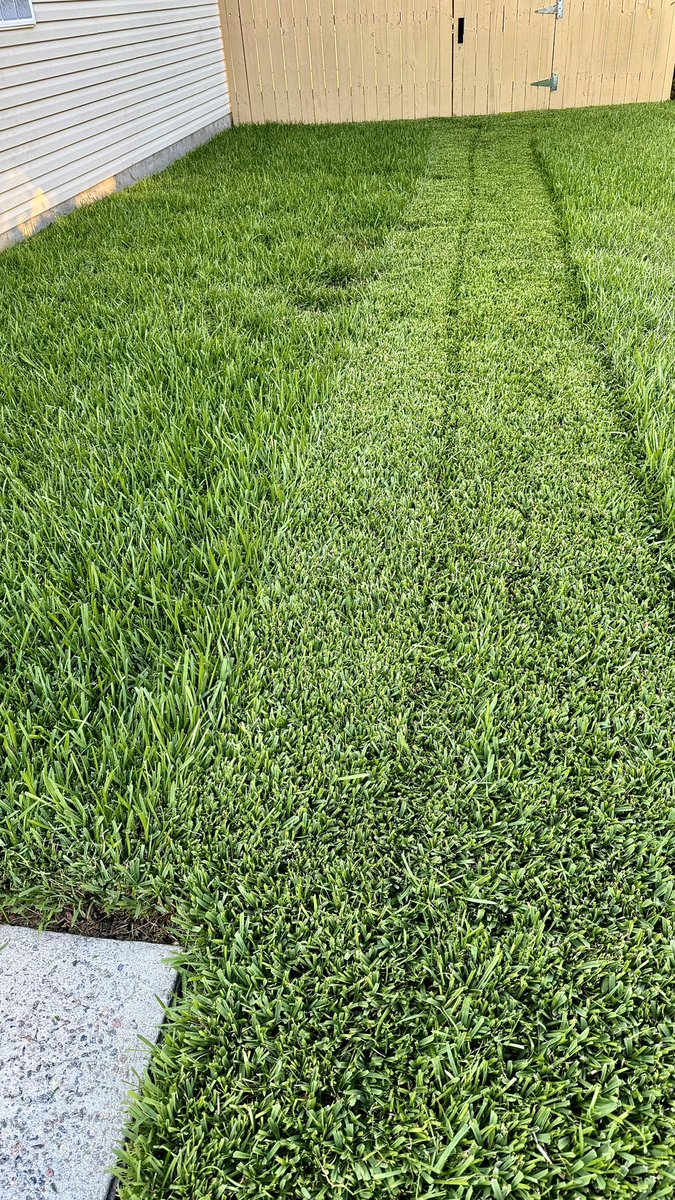 brett728's tweet photo. Well dang @TheAlexHayden , now I gotta share cause I'm the same about my yard! ##TMD The Mowing Drive ;) @BradGillie great hearing y'all this morning! https://t.co/Ro0CNmJ6Cw