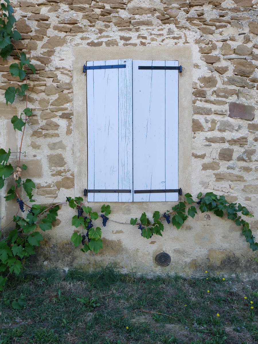 lmsldec's tweet photo. Une porte de ferme, une fenêtre s'ouvre https://t.co/DgBSZAnNYL