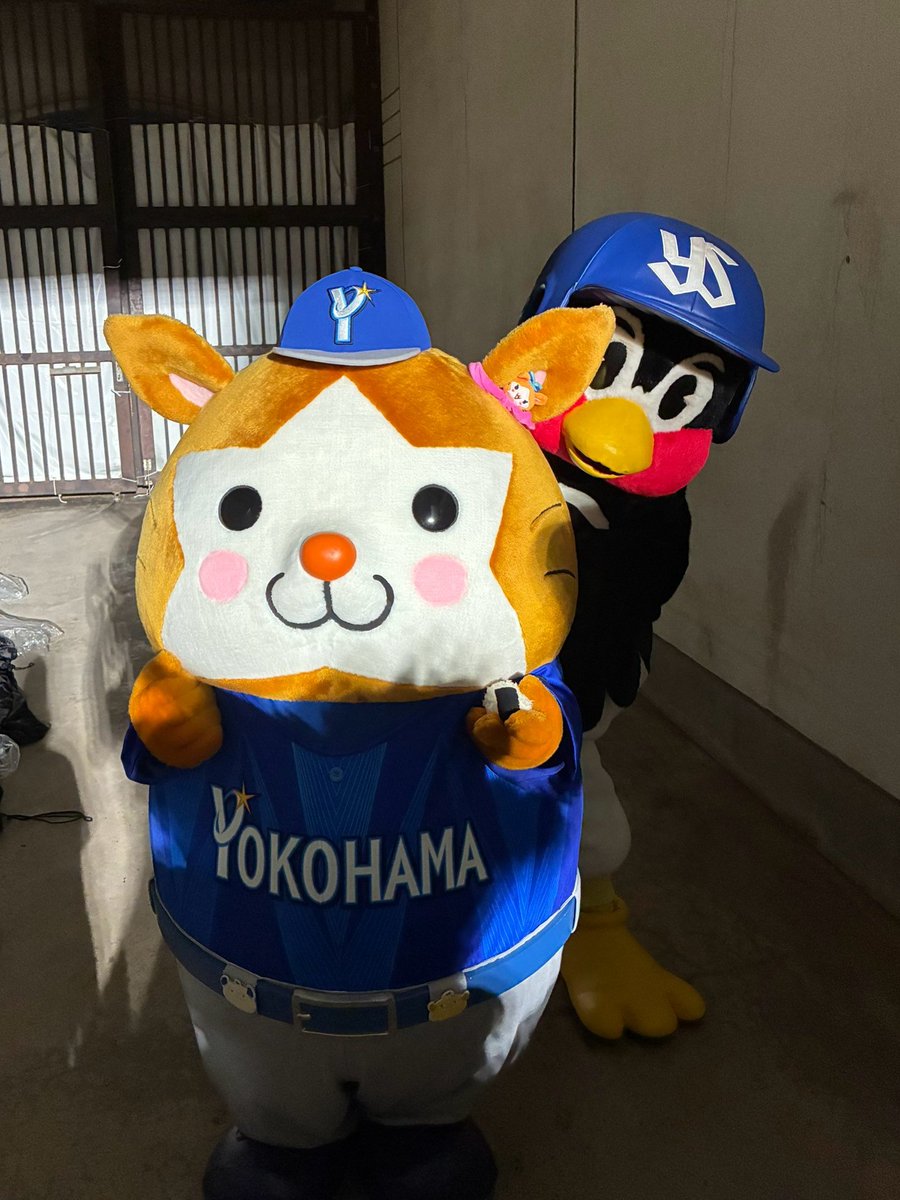 ydb_yokohama's tweet photo. 【マイナビオールスターゲーム2026 第2戦】

おにぎり狙われてます...🥺🤣

#つば九郎 #スターマン 
#swallows　
#オールスター　
#baystars https://t.co/0f3ibD4BM1