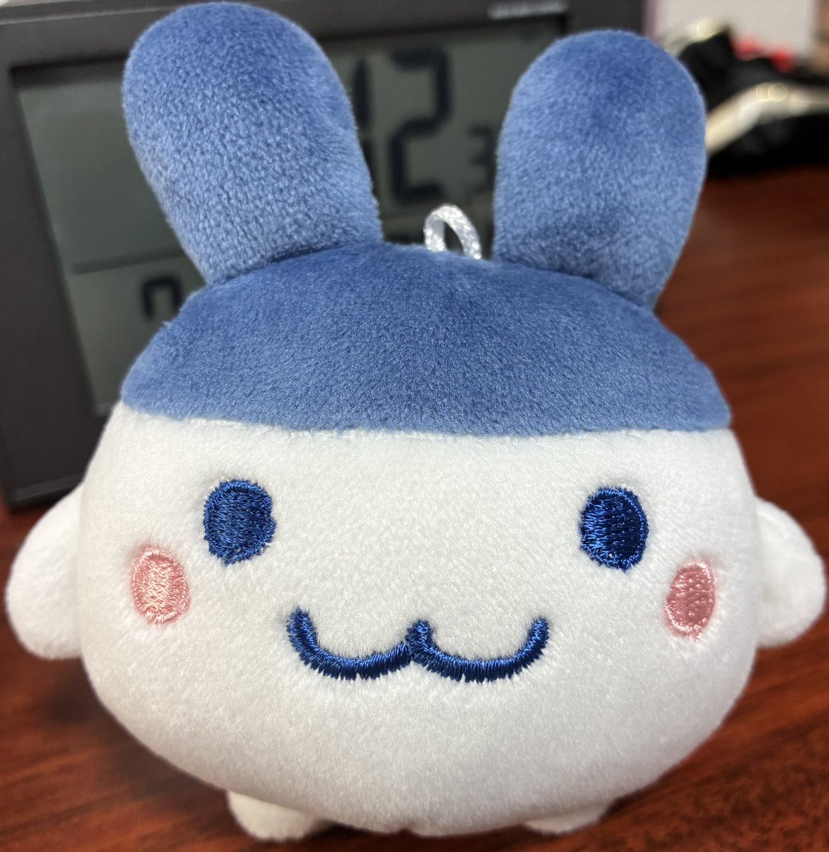 chocominttamago's tweet photo. みみっちはずっと見ていたぴょん https://t.co/xaGP5C4UBx