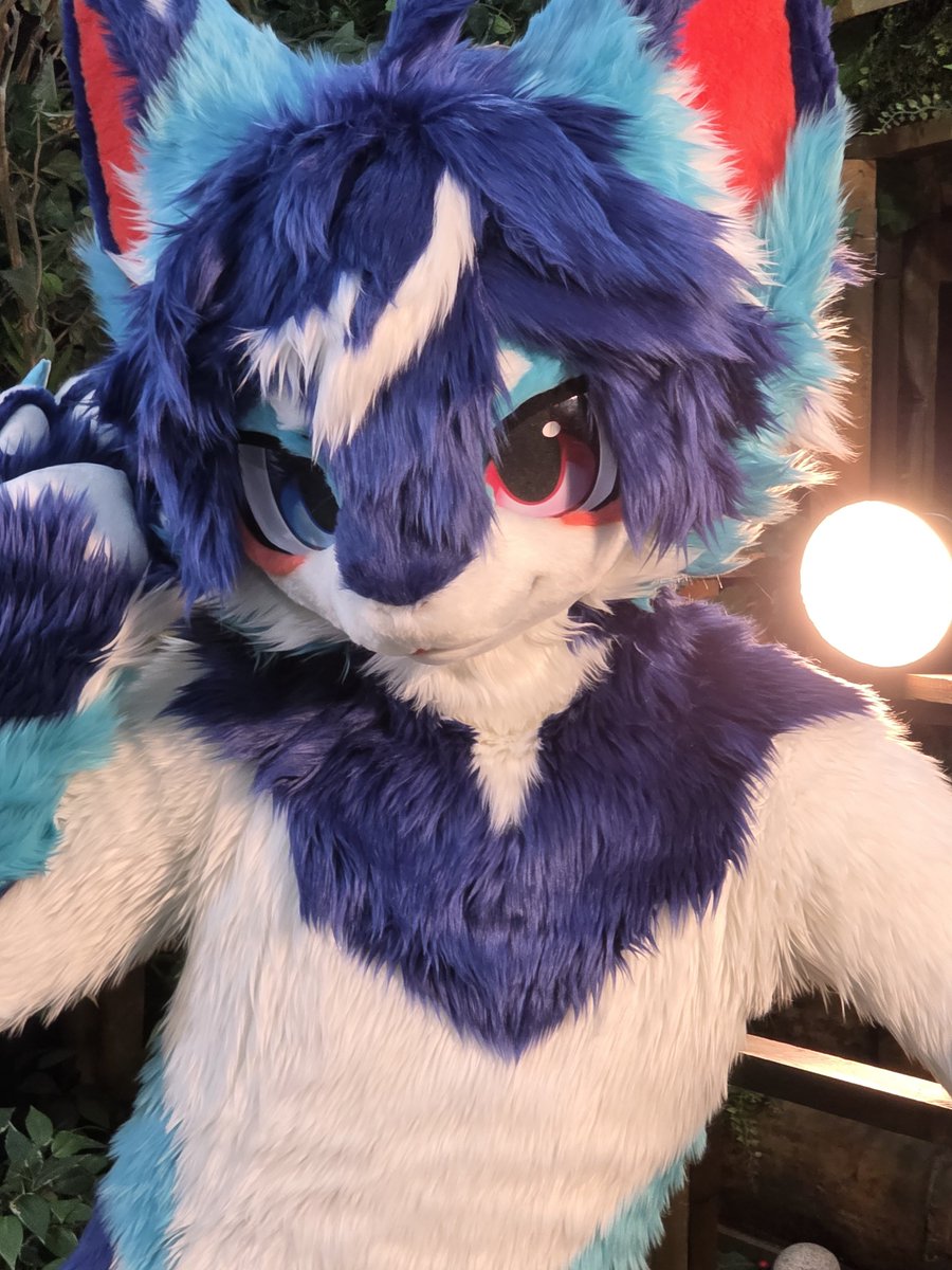 Kanisuke_'s tweet photo. やっぱり私はキラキラしてる！✨

#万界通行 #fursuiteveryday #rukan_shark #fursuit #wwpass https://t.co/9ur40SvjLf