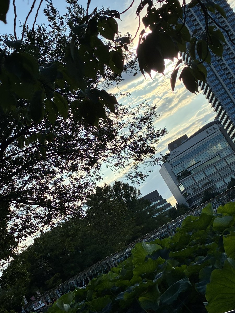 Soul_Chillen's tweet photo. 今日は笑フェス。タイタンから観たけど楽しかった、面白かった、めっちゃ笑った！
モグライダーのネタはロビンソン。久々だったからかともしげくんの出来なさがスゴかった 笑 てことはもちろん芝くんのツッコミもキレまくる。結果、大爆笑！これがモグライダー。
たくさん笑って納涼🎐🍧 https://t.co/fb75hYqzTz