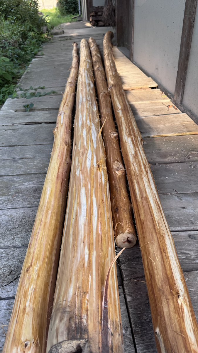 MOTHERCOAT's tweet photo. 帯木用に杉を切り出す

太い杉は沢山あるけどこのサイズが
何かと使いがってがいい

皮剥ぐ時の木の匂い
率直に言って好きだ https://t.co/LT8KE5I5E6