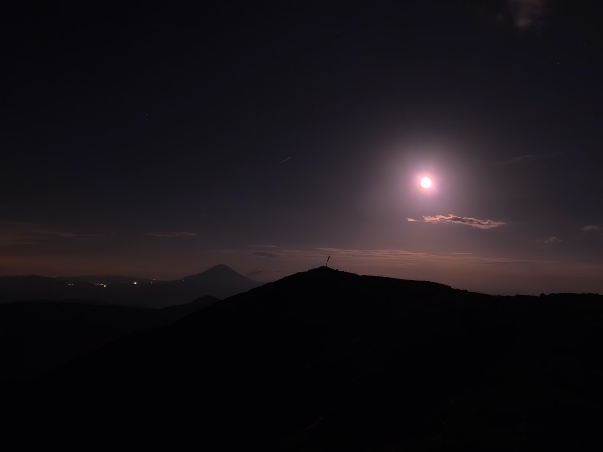 achitabi tweet picture