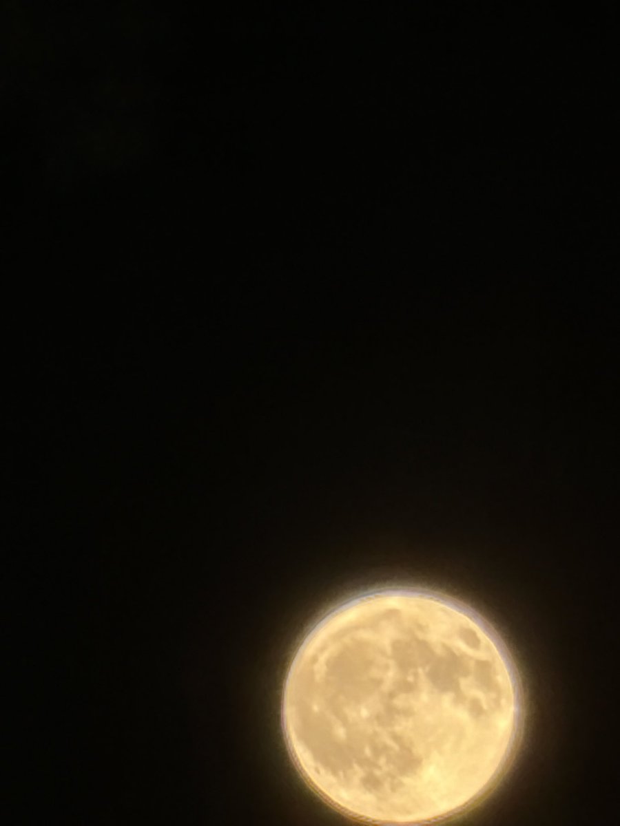 kentike's tweet photo. 🌕 https://t.co/n0RDx8Rt2t