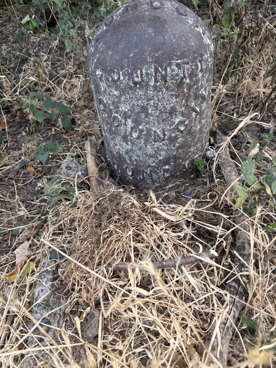 LadyPam56529437's tweet photo. While visiting a park in Lewisham, I  unexpectedly noticed an historical London County Council Boundary marker. Thrilled. @orford https://t.co/T4uY5HYCLJ
