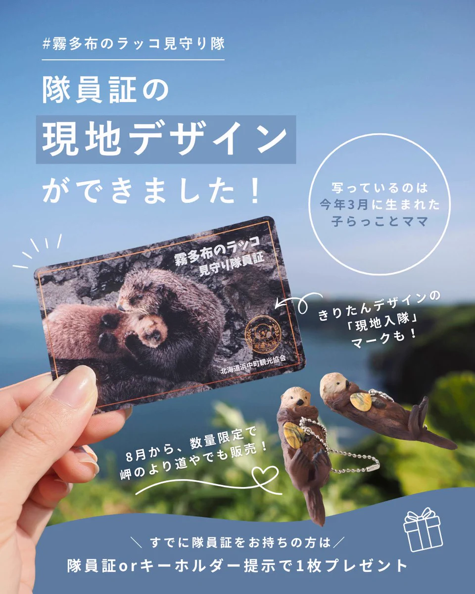 ベ*ル様 霧多布岬 ラッコキーホルダー 見守り隊員証 SWANY على X: 