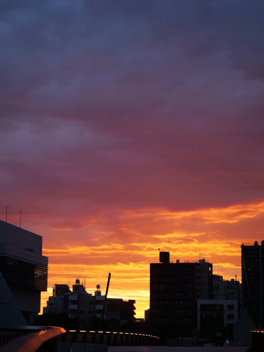 Shjzdb's tweet photo. 夕焼け散歩��� https://t.co/RIJZExAYae