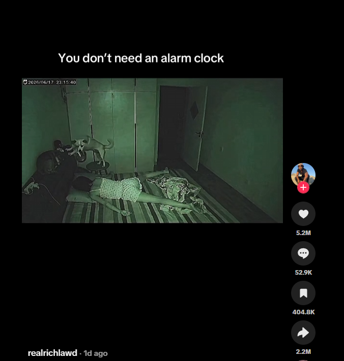 abrawlerj (redemption arc) tweet media
