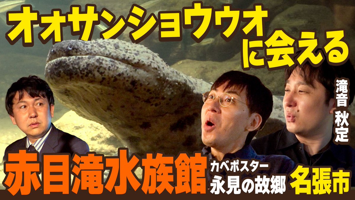jiketsu87's tweet photo. 今週はオオサンショウウオにエサをあげたり、高3の寺家を三重テレビでみつけたりしています
https://t.co/HWLfIOluOc https://t.co/1EgJcg8cR9