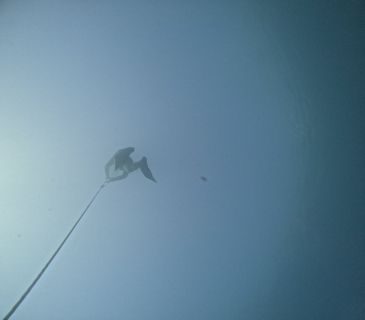 Freedive_Lamia's tweet photo. https://t.co/iU0RmRHfSu https://t.co/3AkI78swX7