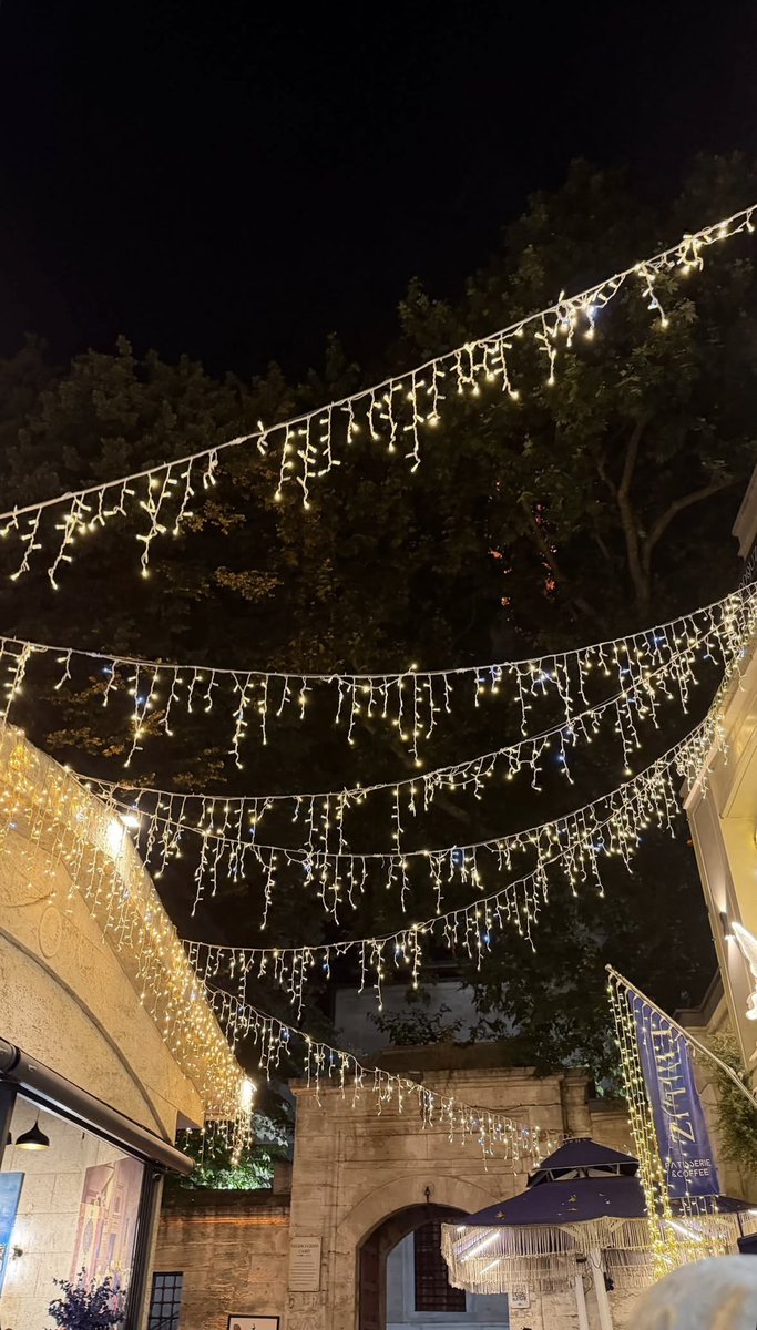 bttlgrlyn's tweet photo. valide-i cedid cami ✨ https://t.co/gHLh0UUVLk