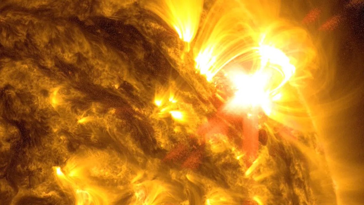 EldonRiceII's tweet photo. @NimaYamini Talk about misinformed...
You just make stuff up and call it truth, huh? Is that how your reality works? Got news for you kid, the Sun is still the Sun and it won't change for little ole you... https://t.co/y0g3S0hhpG
