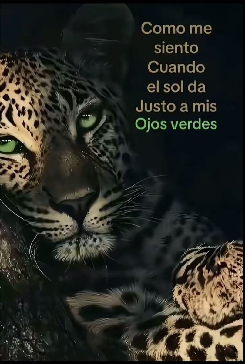 Guidorolon07's tweet photo. @CristalD1os https://t.co/cKF8k5Wo0j