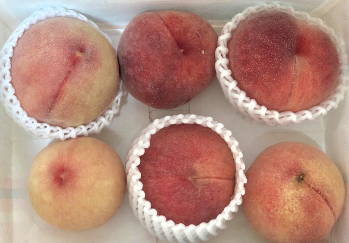 coco78304488's tweet photo. 職場で一緒に働いてた友達が届けてくれた🍑
30年以上もイオンで一緒に働いていた友達♡
避難訓練で、常にお客さま第一で避難誘導した仲間なので、今回のニュースで思ってる気持ちは一緒だった🥹

柔らかな気持ちになった🎶
甘い香りにつつまれ🍑 https://t.co/7COTuwgj0c