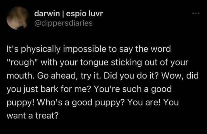 stoxped's tweet photo. puppyposting day 22 https://t.co/JcbCTAPAQC