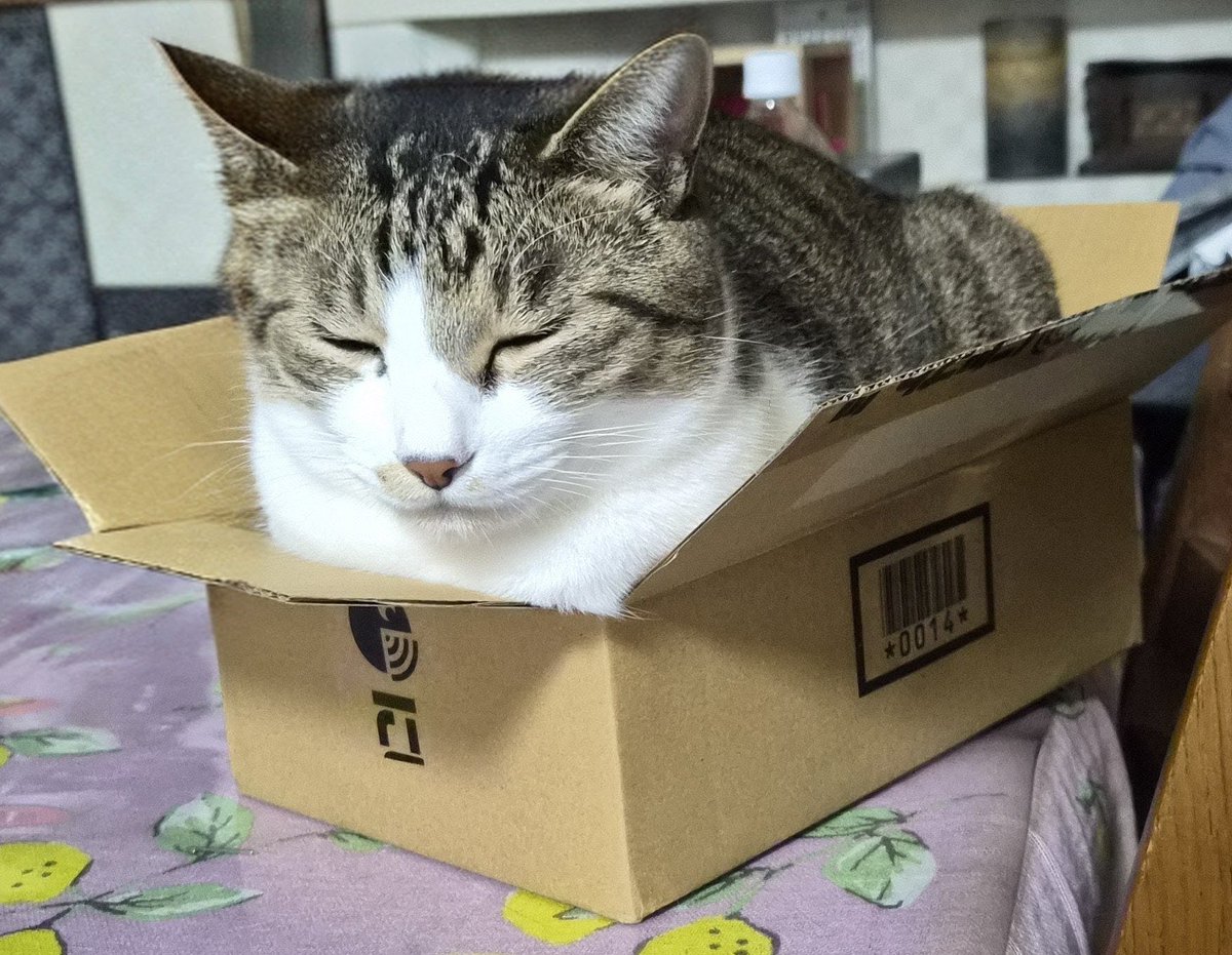 74smsm's tweet photo. 今日、にじストアから届いた荷物可愛すぎな？？？ https://t.co/TKgtTJ3w5E