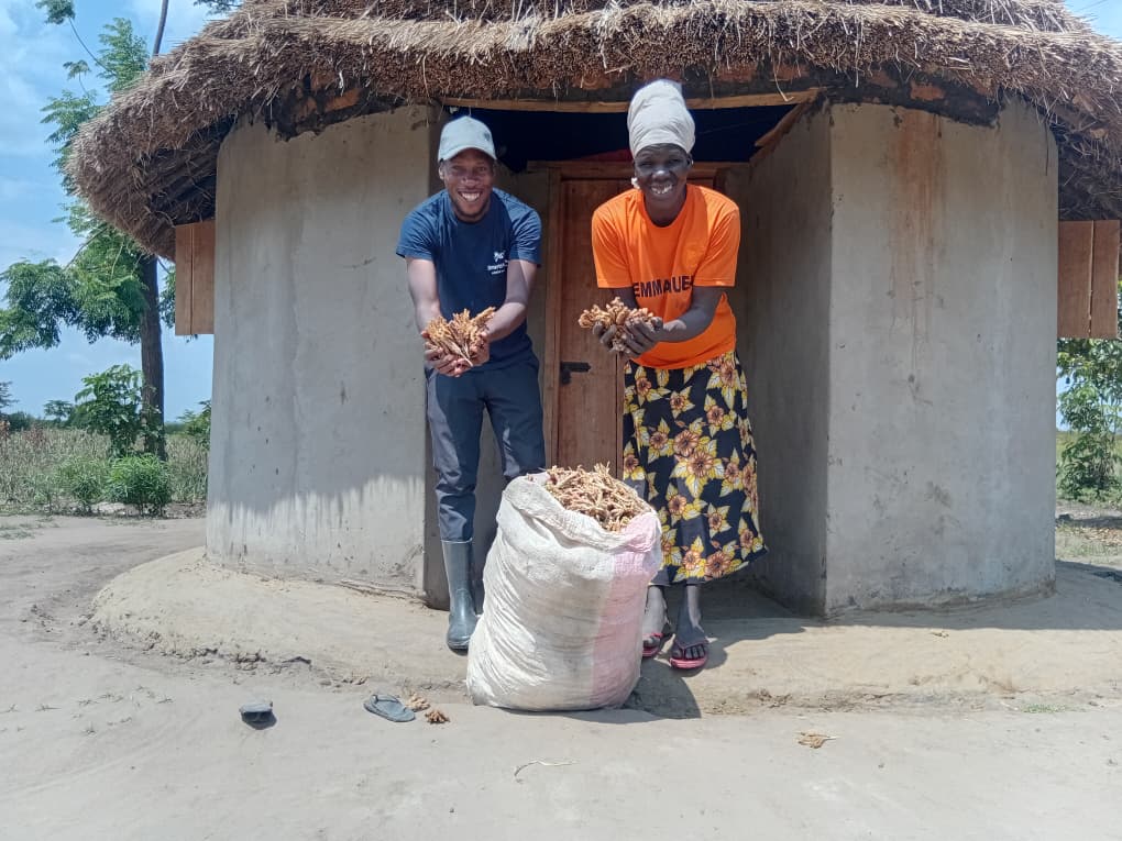 KulikaUganda's tweet photo. Every harvest tells a story of resilience.
Ms. Iruko of Agule, Kaberamaido, harvests millet under the Latek Stay Tree 2 Project, showcasing how sustainable farming is improving food security and building resilient communities. https://t.co/fHnTechALc