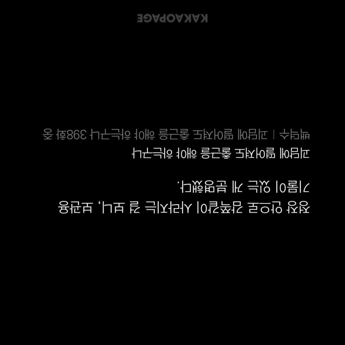 옹씨 tweet media
