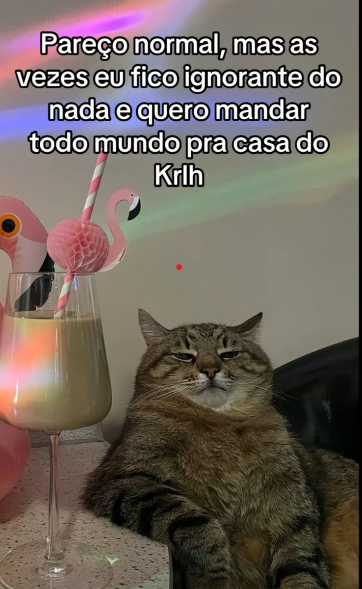 JnSanto0s's tweet photo. #meme #memes #viral #fyy https://t.co/JaxnOVdVN7