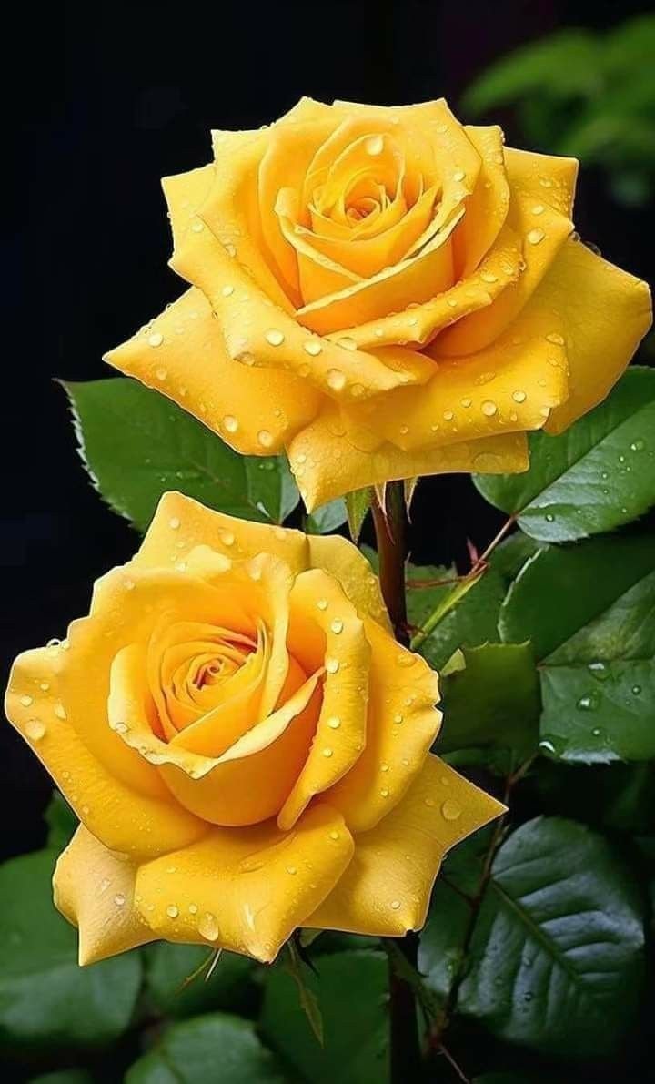 FLORYSILVA21's tweet photo. https://t.co/Zr8IpvZXEB
