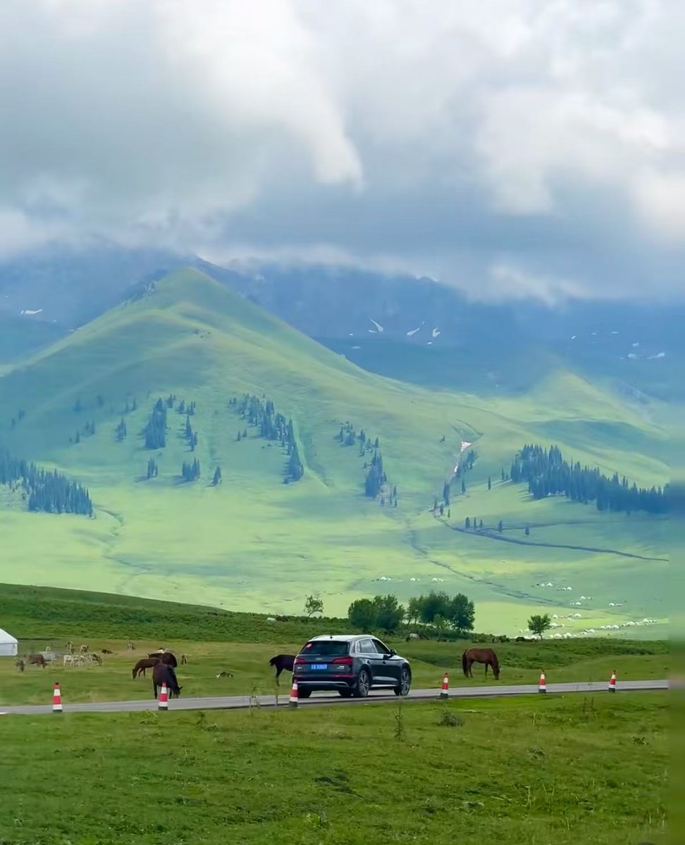 allstarwall's tweet photo. Cruising through endless green mountains.
Best road trip companion. #互关 #互fo #互粉 https://t.co/mIf4b3nSy5