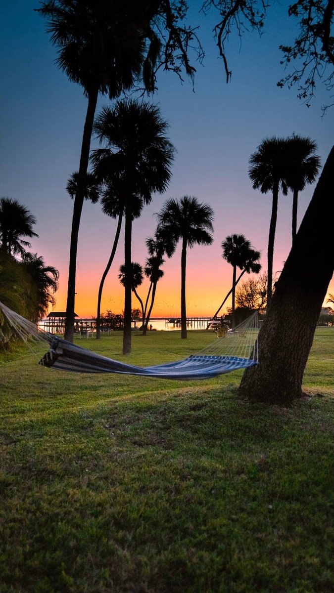 IndianRiverCVB's tweet photo. We like our mornings with a side of sunshine ☀️
📍: @islandviewsebastian on I.G
#VisitIndianRiver #SunriseState #LoveFL #SunriseVibes https://t.co/VxDftL4SRl