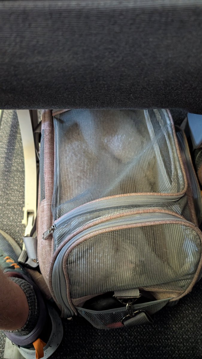 Brendanvanson's tweet photo. The bro is packed up and we're heading to Canada! https://t.co/H0AuuO1LEi