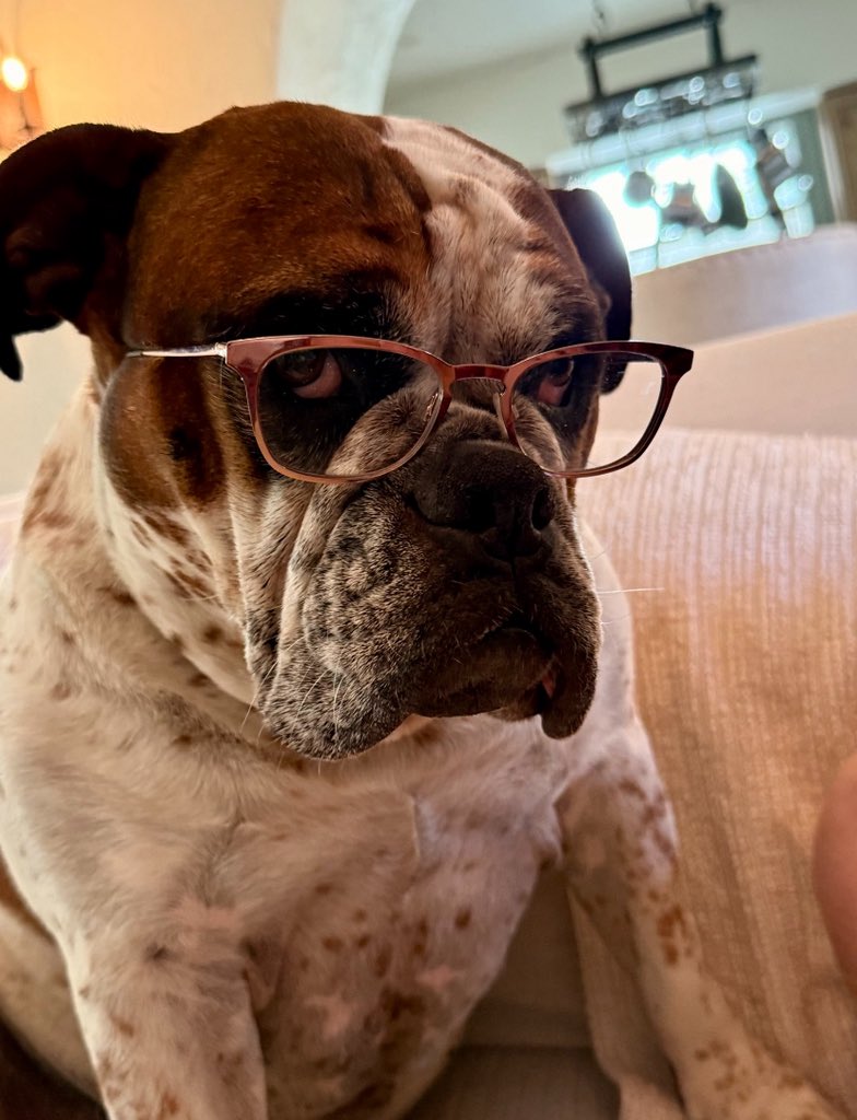 mainjameslavish's tweet photo. Warsh: “We are going to reduce the Fed’s balance sheet.”

My Bulldog: https://t.co/ffcbwVSTZI