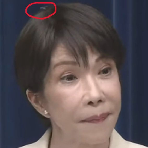 ノブ tweet media