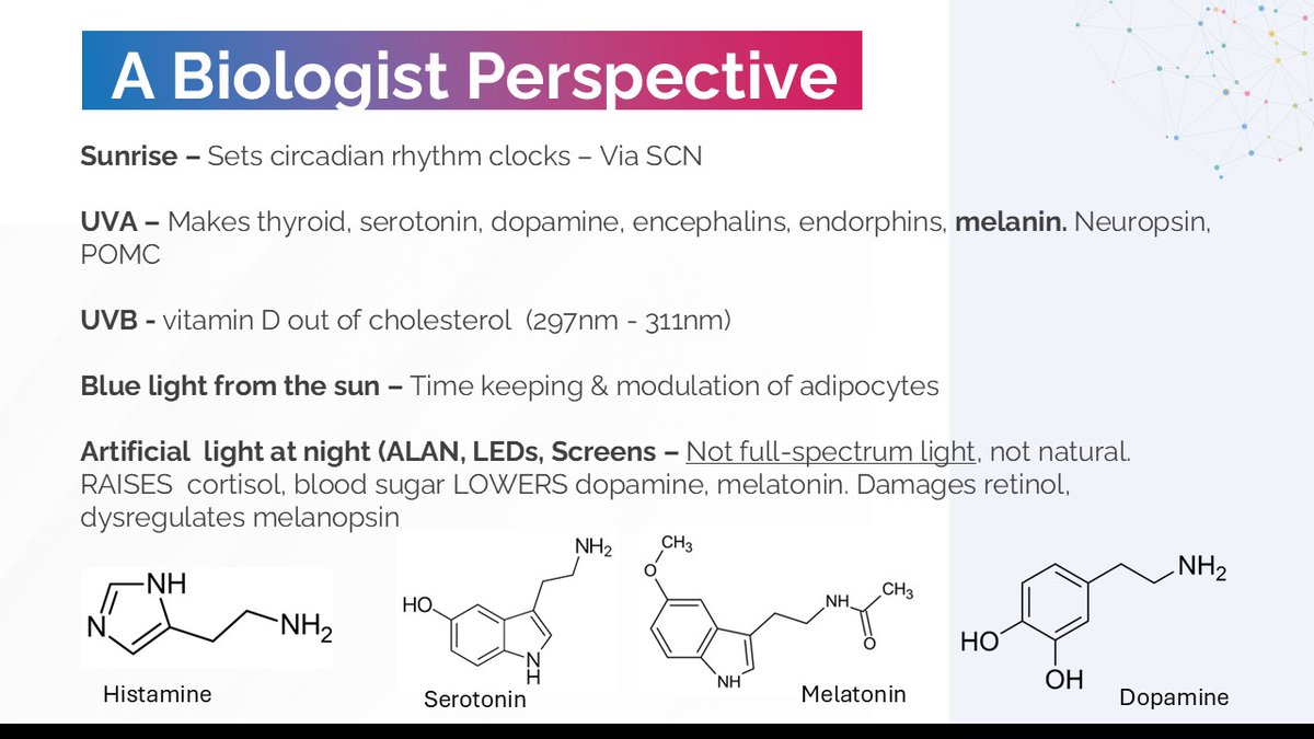 spugh01's tweet photo. Can  Water From This Glass  & UV Light Actually Help Depression? 

This slide is from that presentation I did at Dan Winter's conference in 2025, you can see the proposed hexagonal and pentagonal ring structures in UV active molecules such as melatonin, serotonin, dopamine and histamine.

My colleague Lionel found some radioactive glasses (safe level!)   in an antique shop in Vernet Les Bains in France and drinking water from these glasses that has been exposed to sunlight (UV light)  or a UV lamp is supposed to help with depression.  

Mabey  the relationship between UV light and neurochemistry was known about a long time ago and this information was suppressed. 

This is from my latest Substack on Water, Geometry & Consciousness  if this is something that interests you
👇🏼👇🏼
https://t.co/bOH6IWlOP1

If not, kindly just scroll on to another tweet. That's what I do and  it makes my life a lot easier and simpler