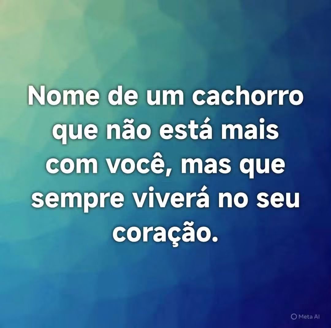 JnSanto0s's tweet photo. https://t.co/zyel7Let3i