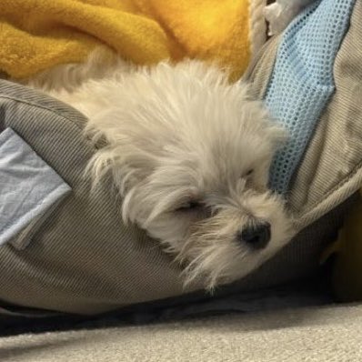 zeronevvt's tweet photo. 엄마닮음이 https://t.co/rxU5I5br3y