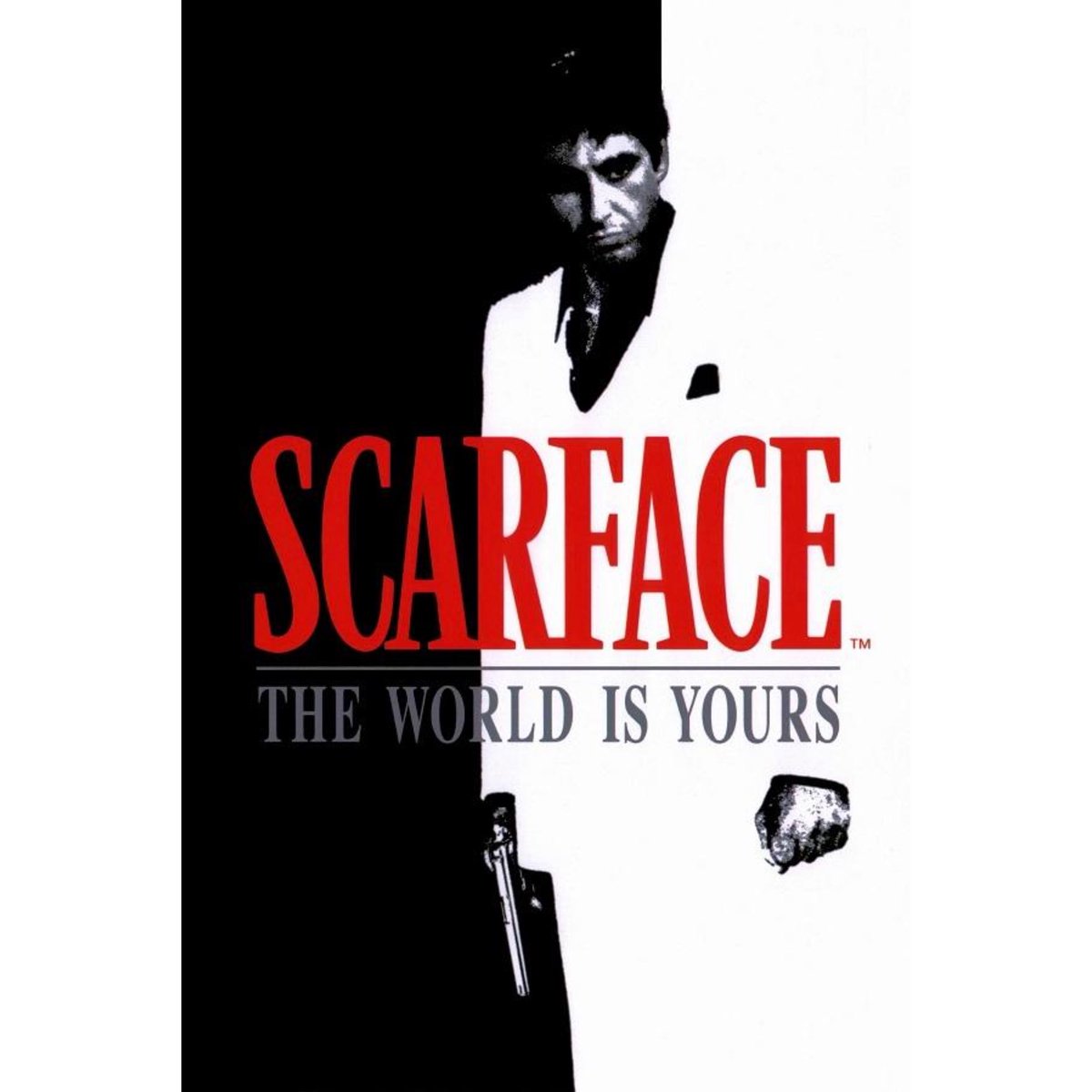 SaeidNotes's tweet photo. The World is Yours 🌍 | Scarface 1983 https://t.co/IlsORGZNWR