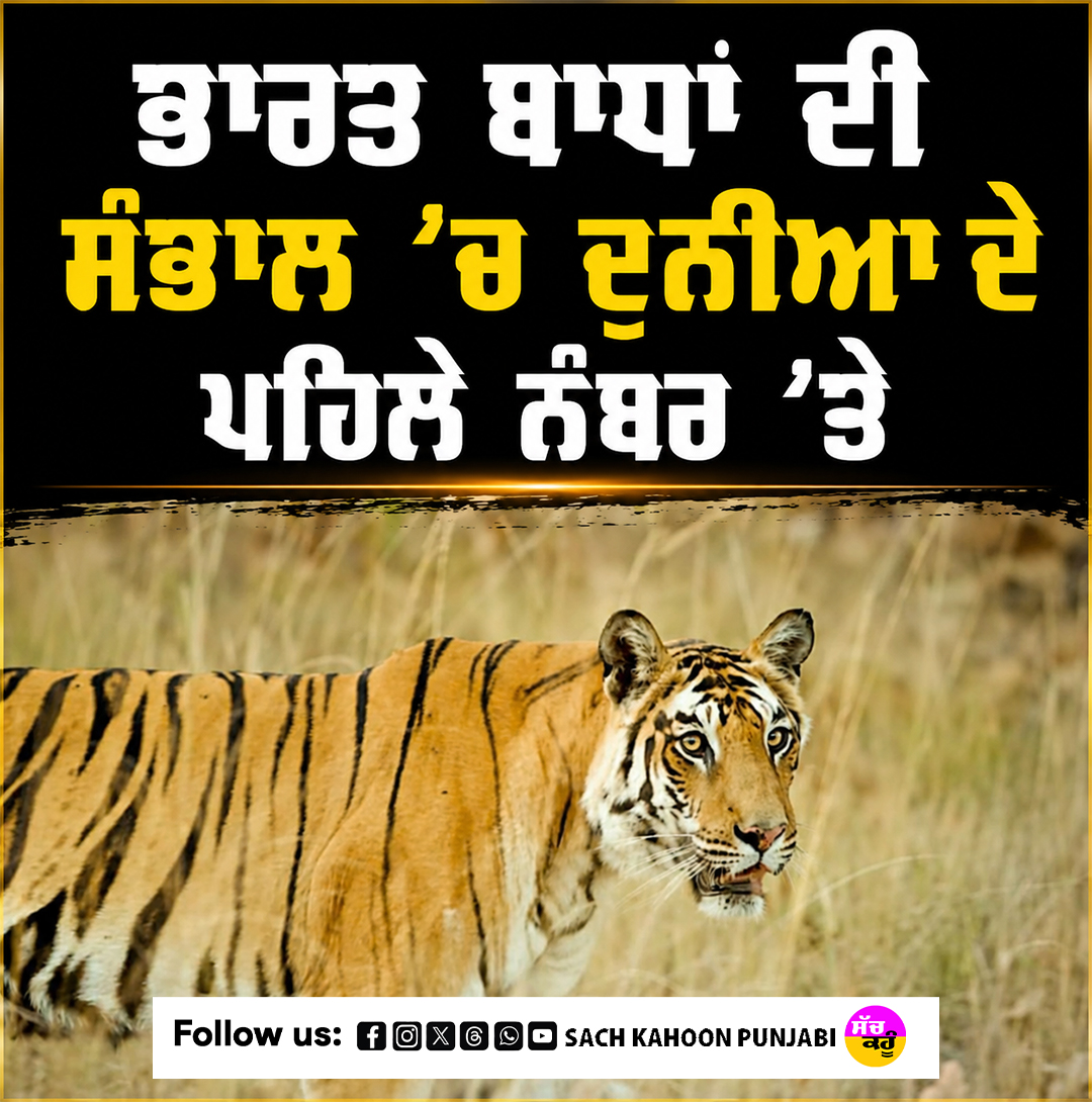 sachkahoonPb's tweet photo. ਭਾਰਤ ਬਾਘਾਂ ਦੀ ਸੰਭਾਲ ’ਚ ਦੁਨੀਆ ਦੇ ਪਹਿਲੇ ਨੰਬਰ ’ਤੇ, ਦੇਸ਼ ’ਚ 3,682 ਬਾਘ

#TigerConservation
#ProjectTiger
#SaveTigers
#India
#WildlifeConservation https://t.co/oFaZnU4BBw