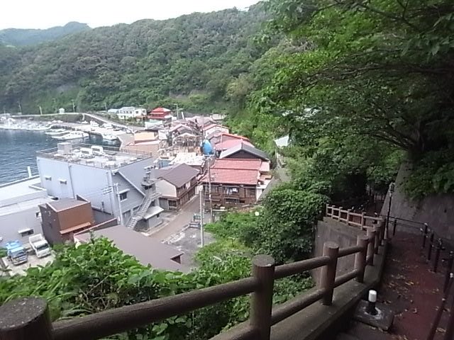 poo1007's tweet photo. 安海の通学路を観に行かれる方はこっちがおすすめ。
整備されてて綺麗。 https://t.co/WoAHG8bQiv