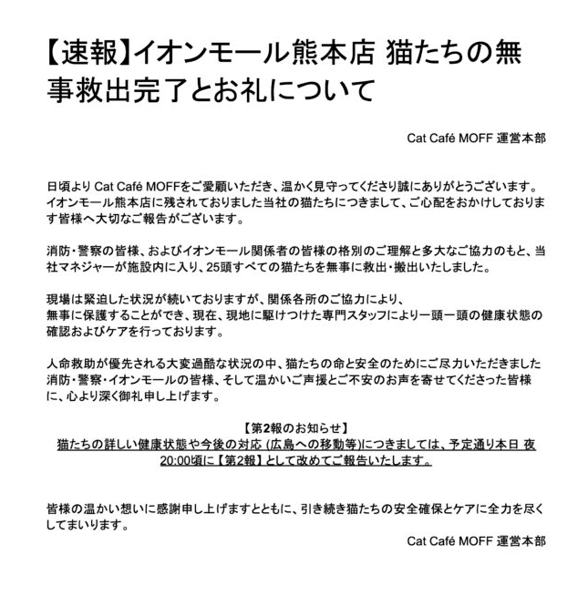 爆発した熊本のイオンモールに閉じ込められていた猫カフェの猫25頭、全員無事に救出！公式発表にXユーザーから安堵の声が続々