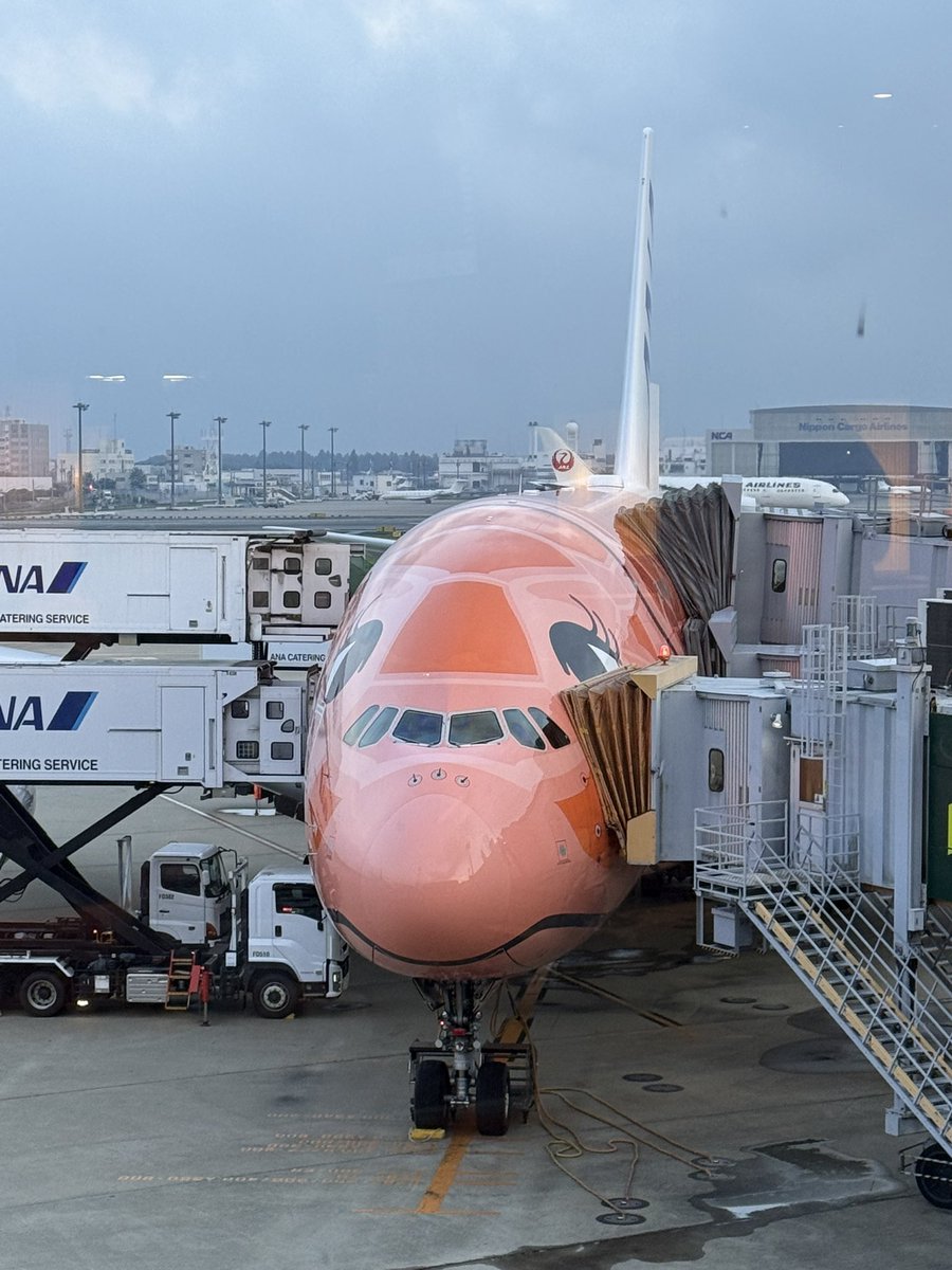 okustir_t's tweet photo. 先日、フライングホヌでホノルルに行ってきました！

A380はシートピッチ広くてエコノミーでも割と快適に過ごせました。
行きはバルクヘッド席を���４時間前に座席変更で取れました。

#フライングホヌ
 #ANA https://t.co/wOc6jMZRU5