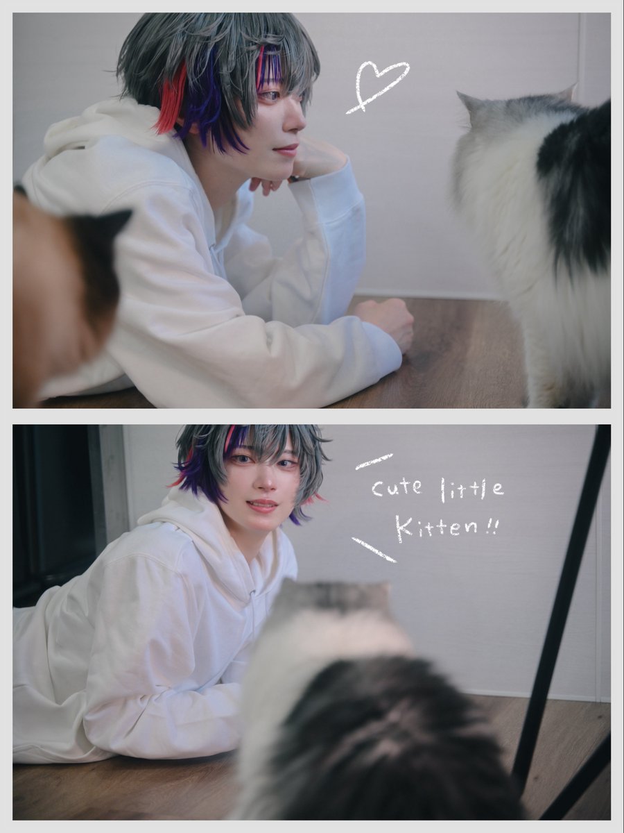 yyzzmmrr's tweet photo. fwさんと🐈 https://t.co/21KA8uR6Gg