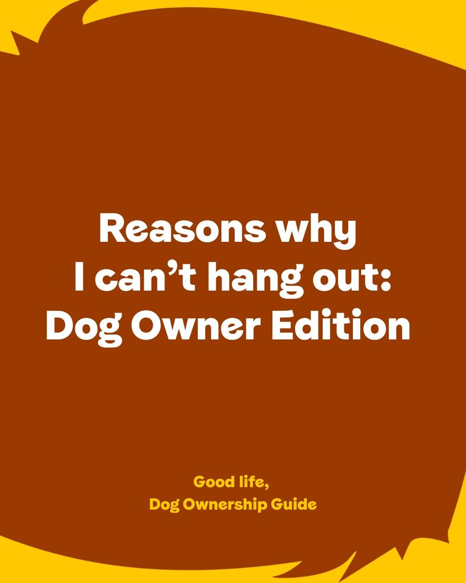 DT_WestLondon's tweet photo. Reasons why I can't hang out: Dog Owner Edition 🐶

Think you are a responsible dog owner? We've created the Dog Ownership Guide to help dog owners have a better, more consistent understanding of what it means to be a responsible dog owner. https://t.co/uI8e5P5Ujg