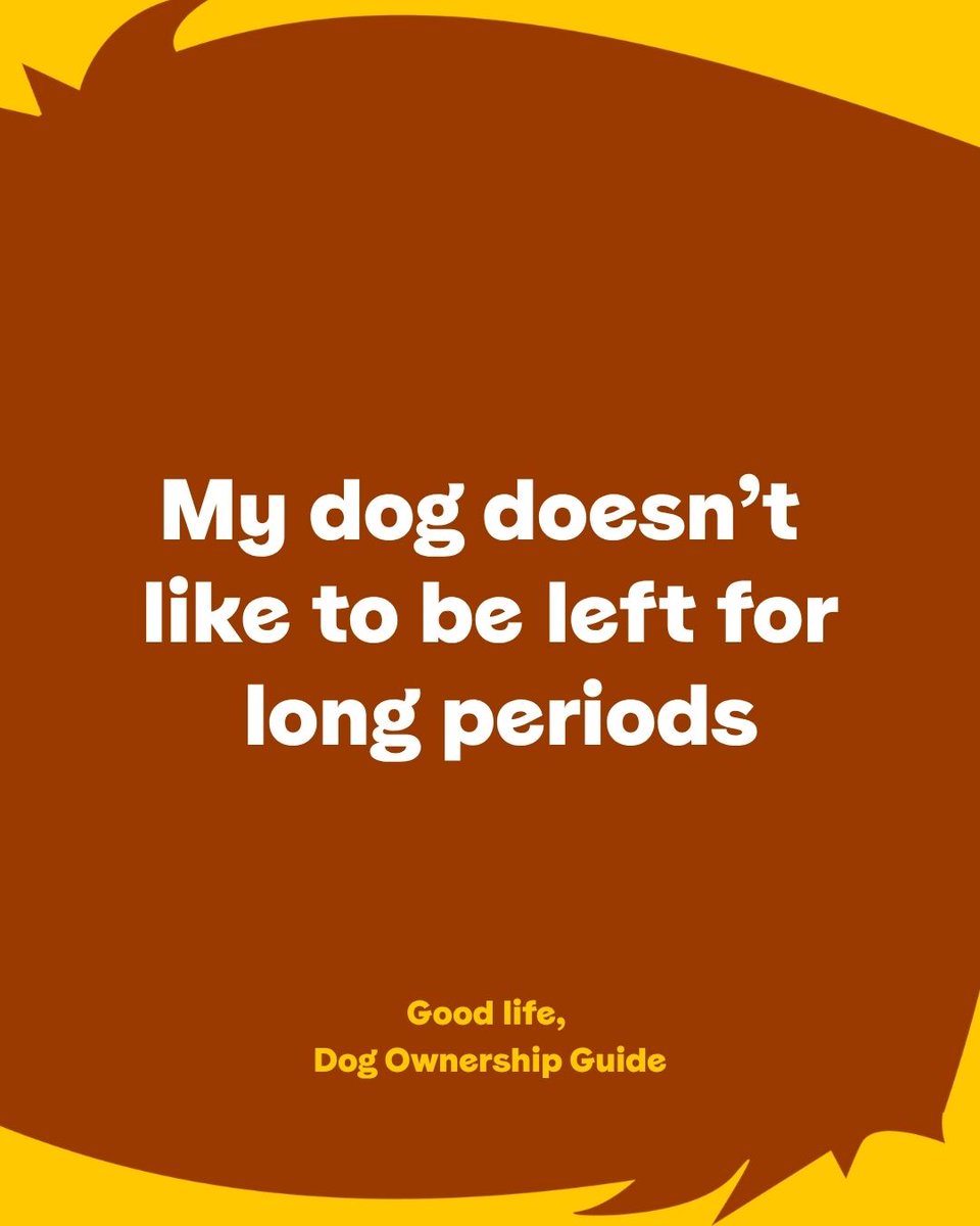 DT_WestLondon's tweet photo. Reasons why I can't hang out: Dog Owner Edition 🐶

Think you are a responsible dog owner? We've created the Dog Ownership Guide to help dog owners have a better, more consistent understanding of what it means to be a responsible dog owner. https://t.co/uI8e5P5Ujg