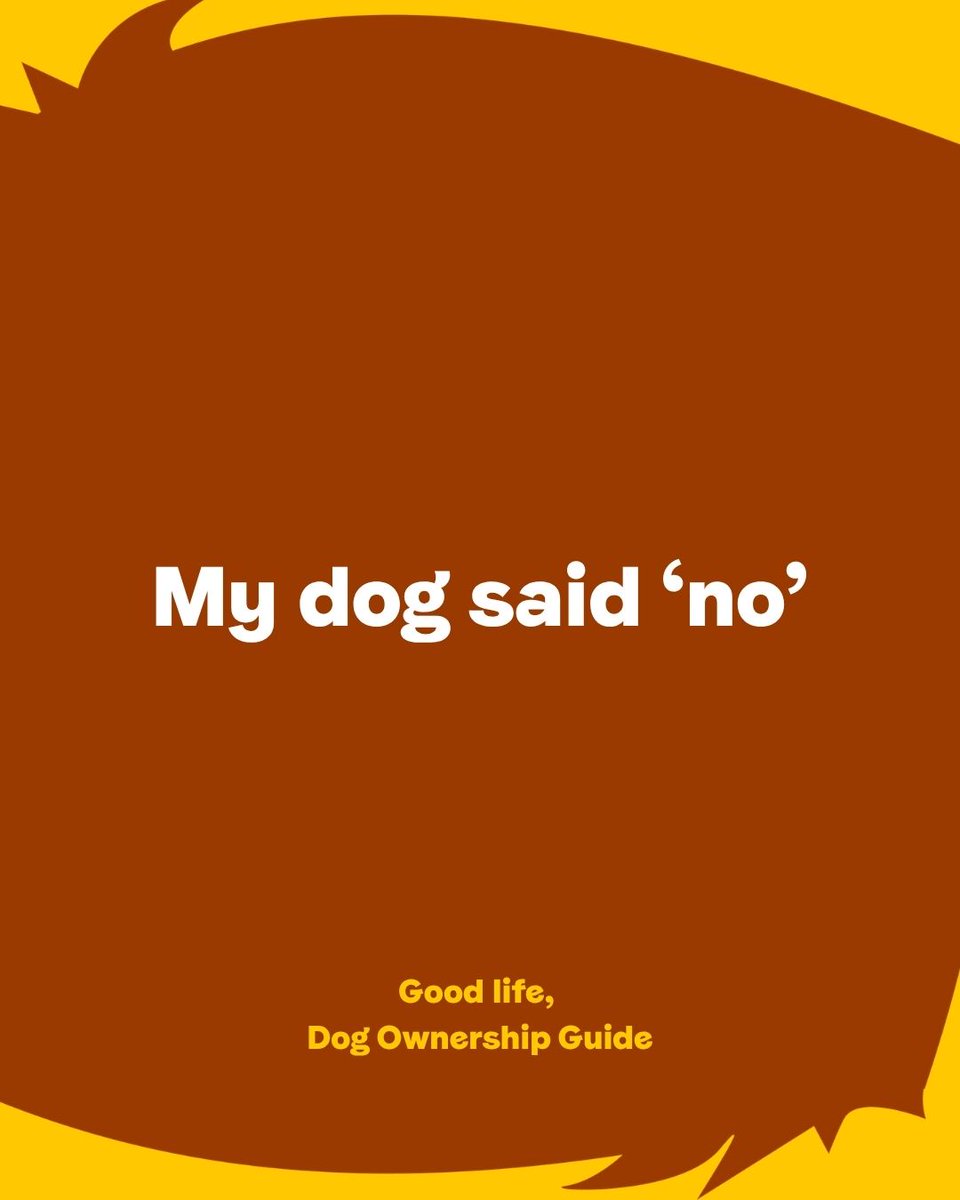 DT_WestLondon's tweet photo. Reasons why I can't hang out: Dog Owner Edition 🐶

Think you are a responsible dog owner? We've created the Dog Ownership Guide to help dog owners have a better, more consistent understanding of what it means to be a responsible dog owner. https://t.co/uI8e5P5Ujg