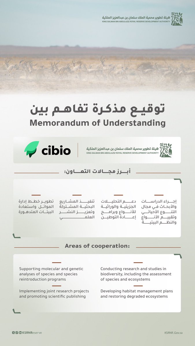 KSRNReserve's tweet photo. وقّعت هيئة تطوير محمية الملك سلمان بن عبدالعزيز الملكية مذكرة تفاهم مع مركز أبحاث التنوع البيولوجي والموارد الجينية لتعزيز التعاون البحثي في حماية البيئة وصون التنوع الأحيائي.

The King Salman bin Abdulaziz Royal Reserve Development Authority has signed a Memorandum of Understanding with CIBIO to strengthen research collaboration in environmental protection and biodiversity conservation.