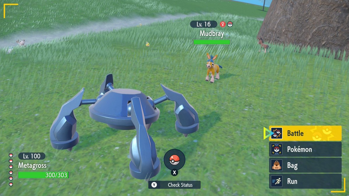 Jbencalada's tweet photo. Very easy hunts yesterday! Found a shiny Mudbray as soon as I went to the outbreak. Found a Stunky while at a Pachirisu outbreak, and Pachi did not take long to shine ⭐️ https://t.co/f2KOInxTRR