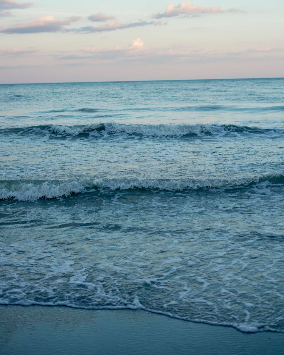 LIMacArthur's tweet photo. From here to there in a flash! @BreezeAirways' nonstop flights between Long Island MacArthur Airport &amp; Myrtle Beach make quick, affordable family holidays a reality. #familytravel #customerexperience #onlyatisp #flymacarthur #flybreeze https://t.co/YDdqbgcINh